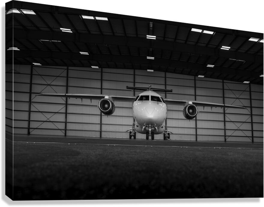 2507008 :: Giclée Stretched Canvas Print