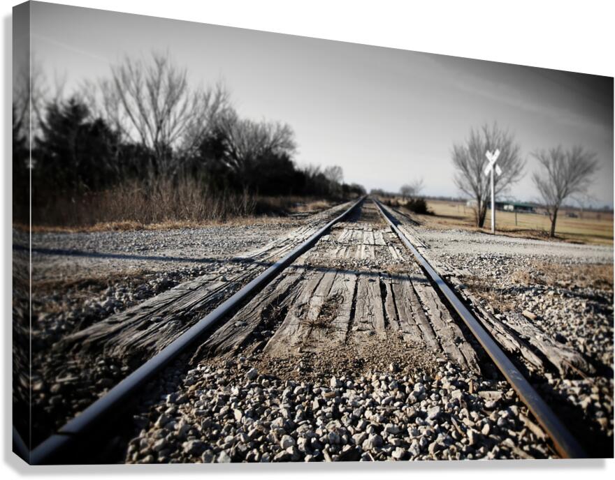 2521955 :: Giclée Stretched Canvas Print