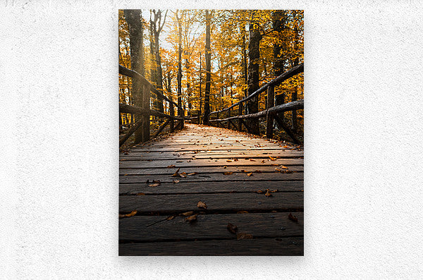 2496812 :: Brushed Metal Print