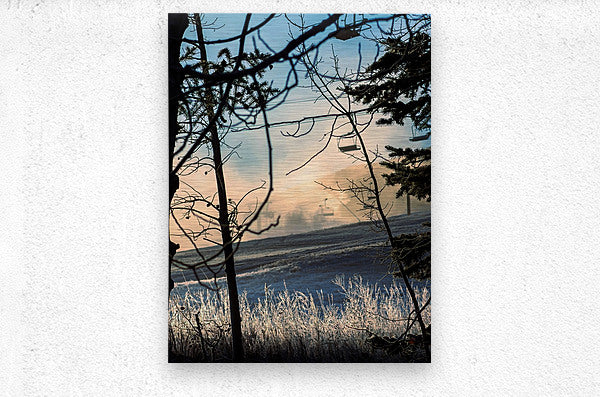 2500594 :: Brushed Metal Print