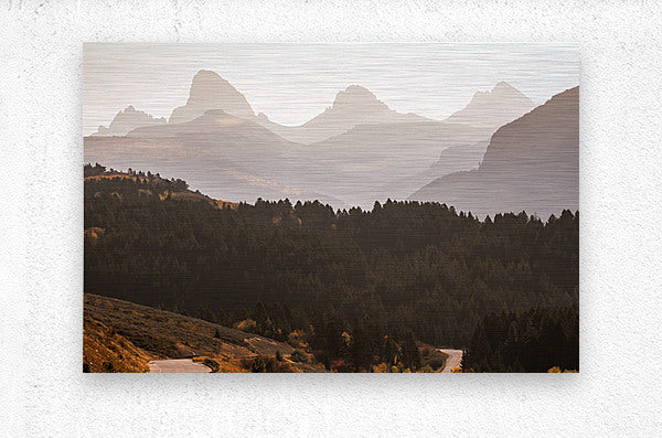 2501033 :: Brushed Metal Print