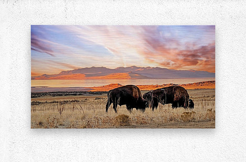 2501054 :: Brushed Metal Print