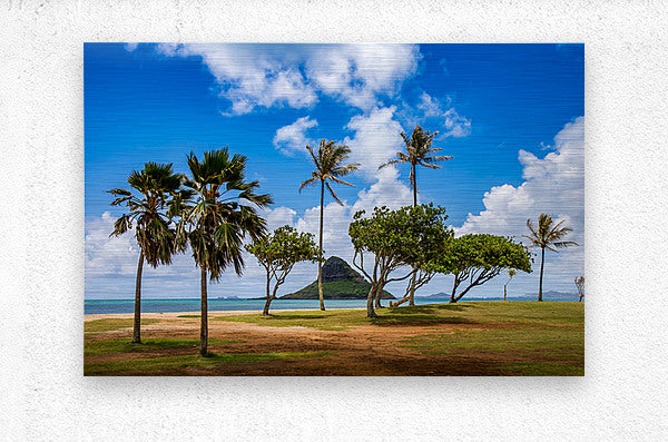 2501074 :: Brushed Metal Print