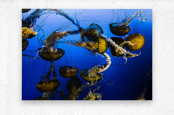 2501080 :: Brushed Metal Print