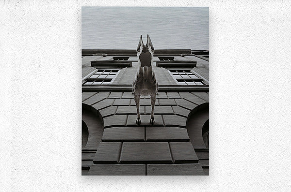 2501086 :: Brushed Metal Print