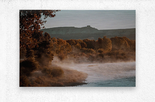 2501210 :: Brushed Metal Print