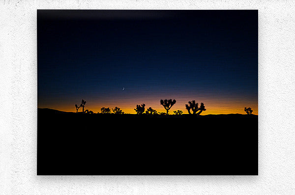 2501225 :: Brushed Metal Print