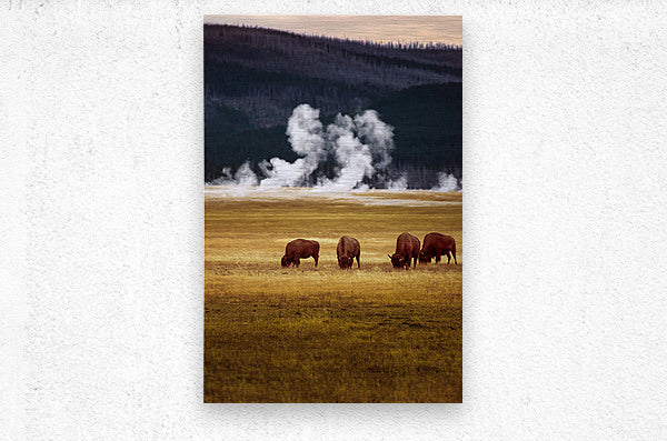 2501489 :: Brushed Metal Print