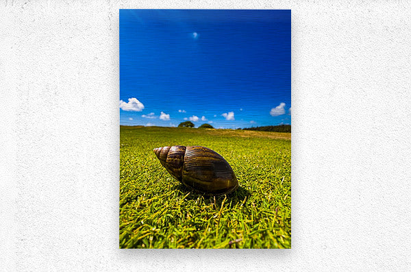 2501491 :: Brushed Metal Print