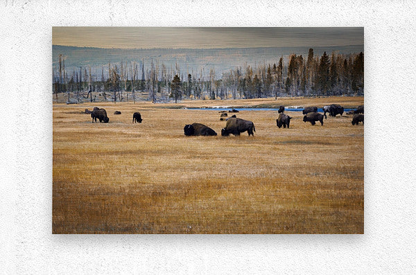 2501497 :: Brushed Metal Print