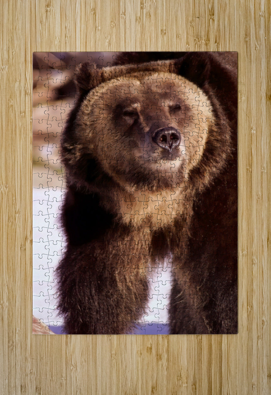 2501066 :: Puzzle Print