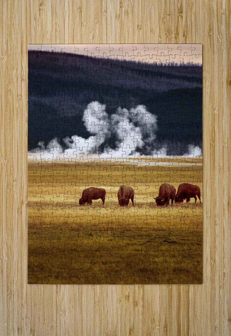 2501489 :: Puzzle Print