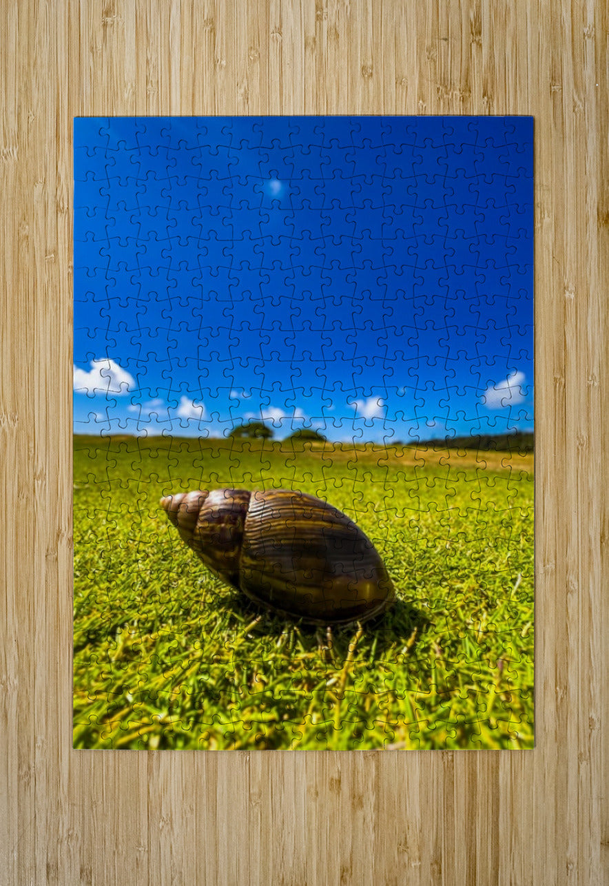 2501491 :: Puzzle Print