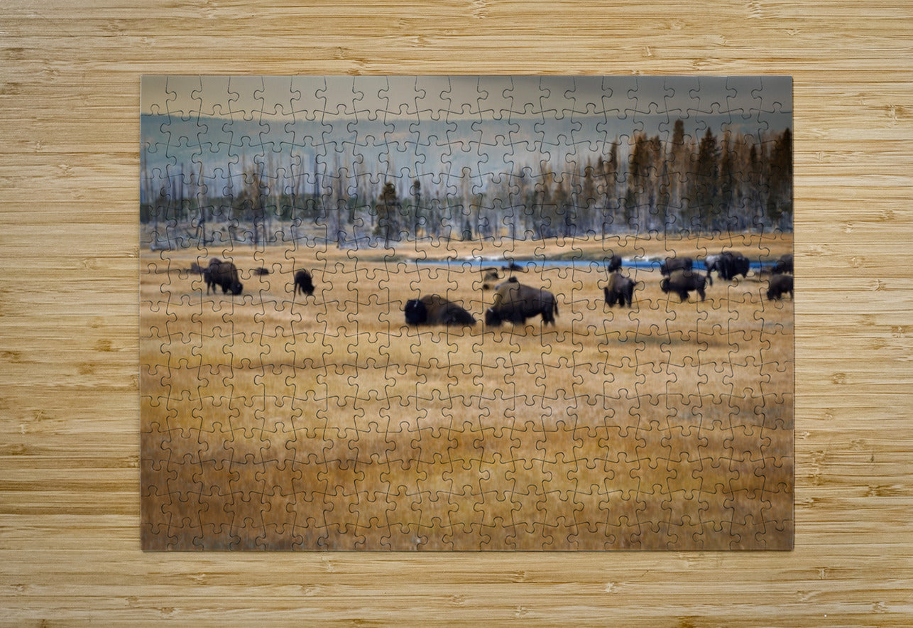 2501497 :: Puzzle Print