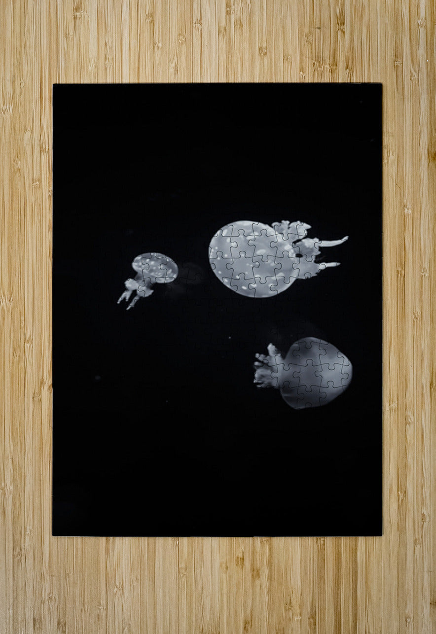 2501498 :: Puzzle Print