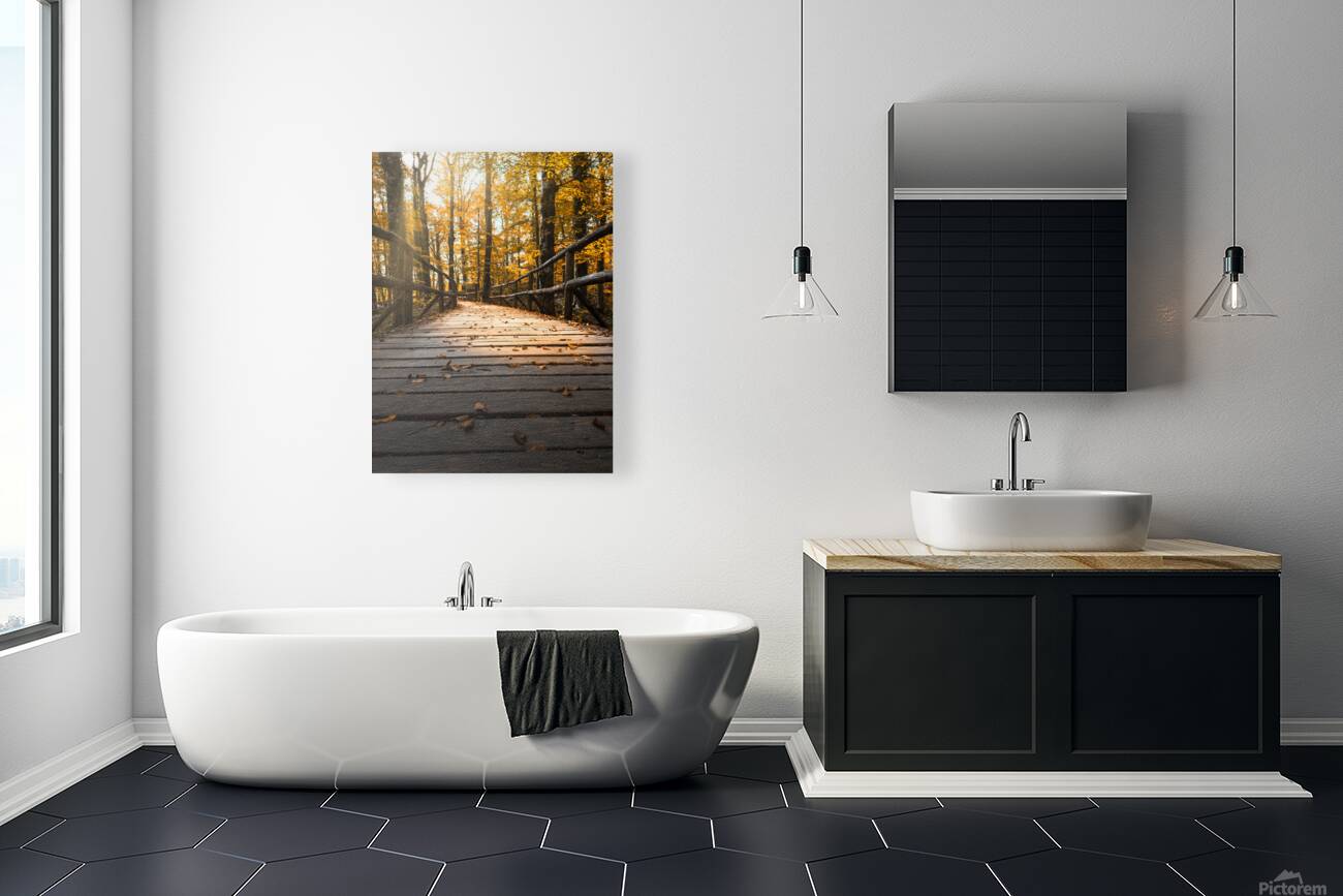 2496812 :: Giclée Stretched Canvas Print