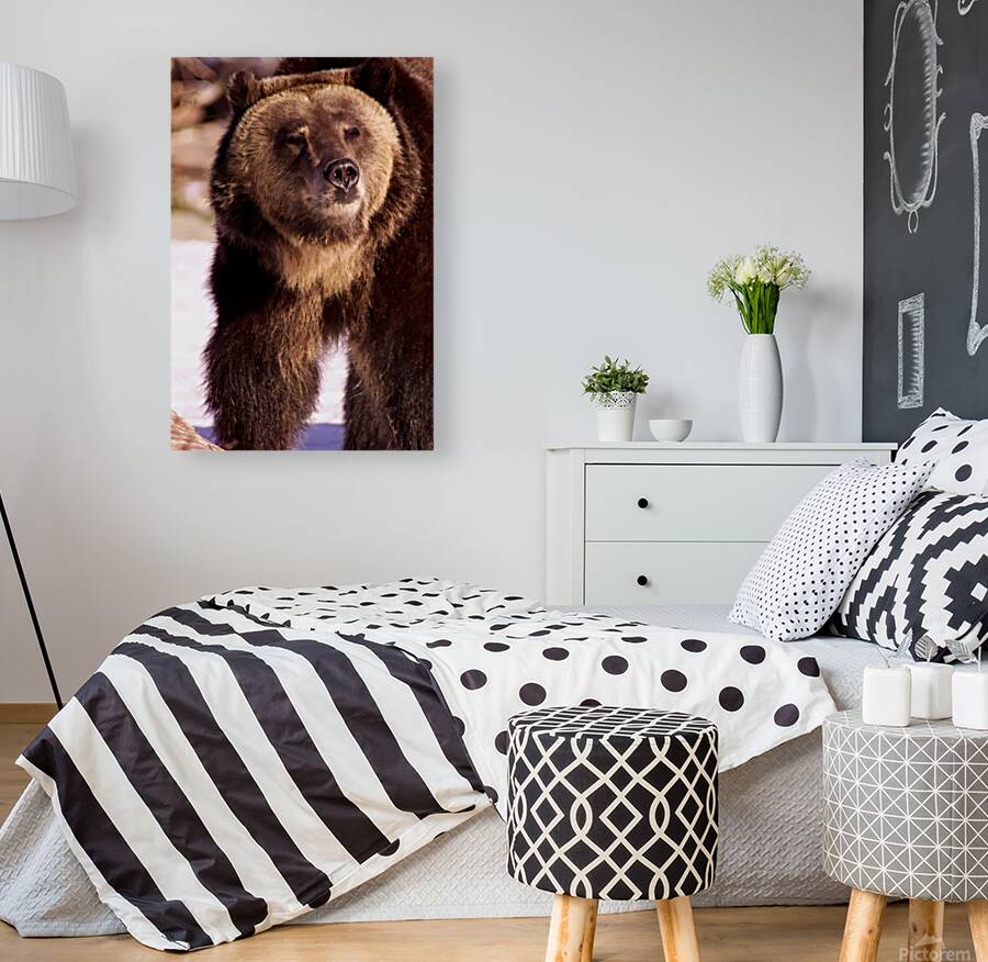 2501066 :: Giclée Stretched Canvas Print