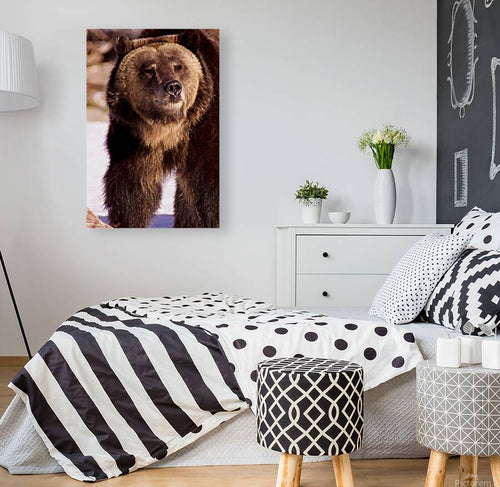 2501066 :: Giclée Stretched Canvas Print