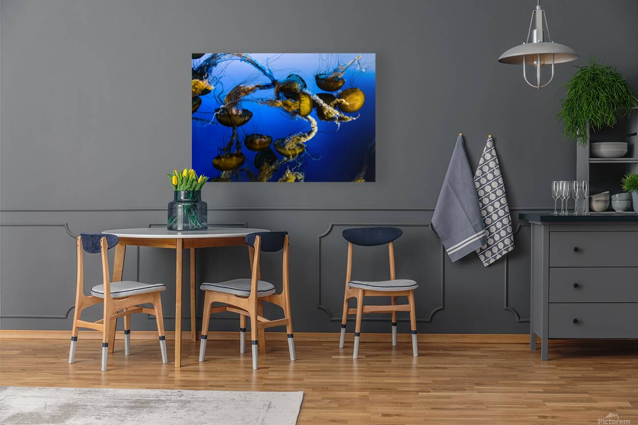 2501080 :: Giclée Stretched Canvas Print