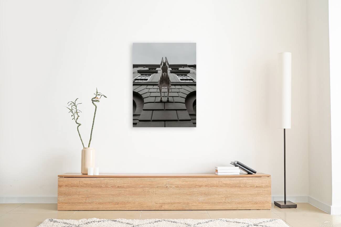 2501086 :: Giclée Stretched Canvas Print