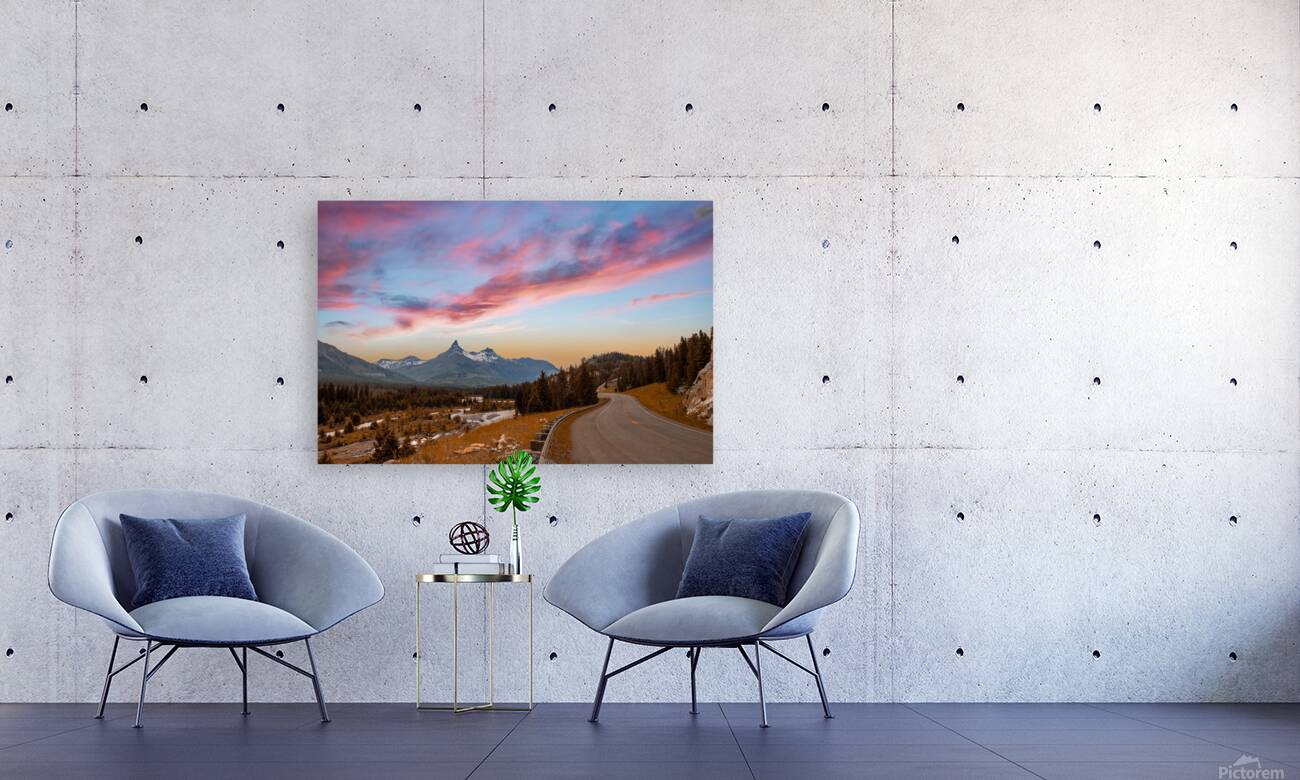 2501465 :: Giclée Stretched Canvas Print