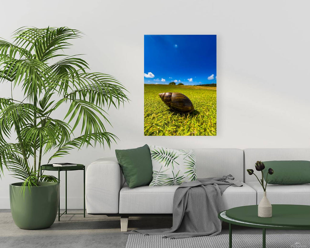 2501491 :: Giclée Stretched Canvas Print