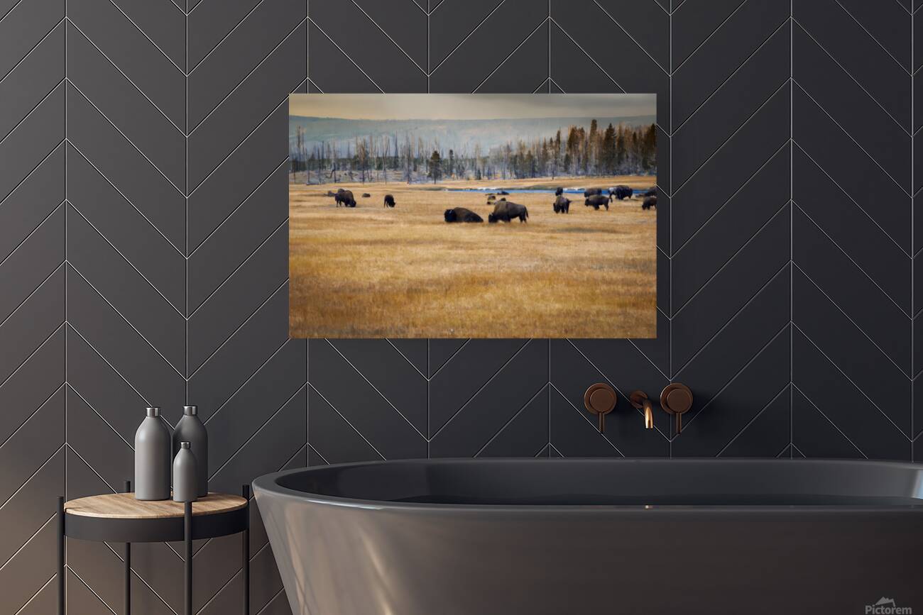 2501497 :: Giclée Stretched Canvas Print