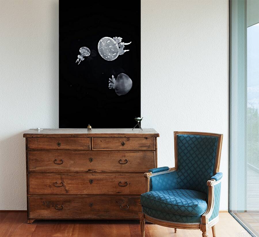 2501498 :: Giclée Stretched Canvas Print