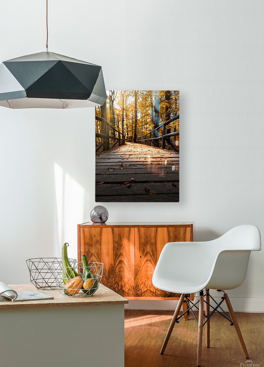 2496812 :: HD Sublimation Metal Print