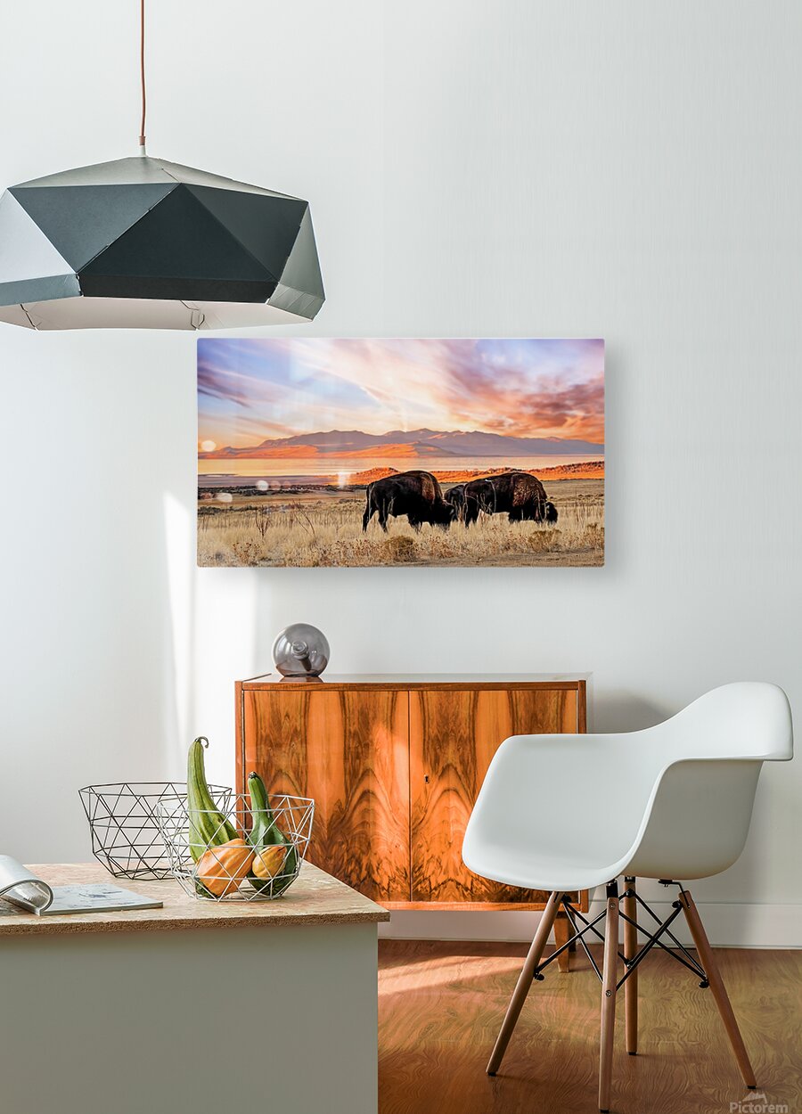 2501054 :: HD Sublimation Metal Print