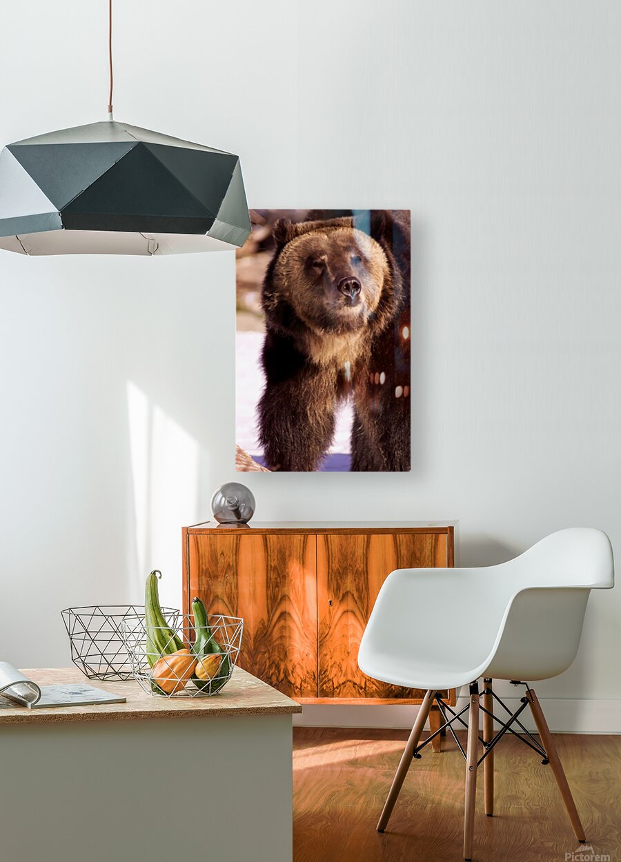 2501066 :: HD Sublimation Metal Print