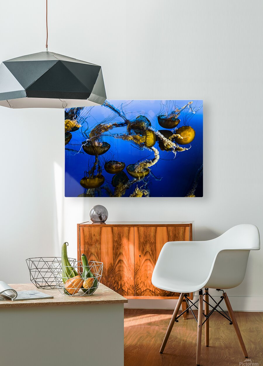 2501080 :: HD Sublimation Metal Print