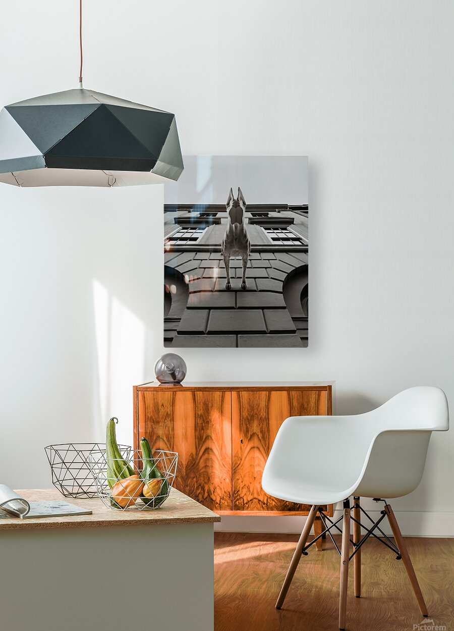 2501086 :: HD Sublimation Metal Print