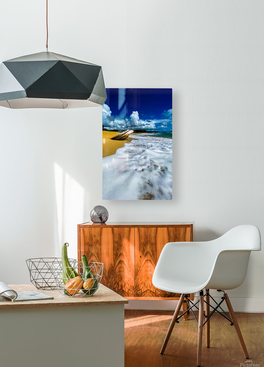 2501468 :: HD Sublimation Metal Print