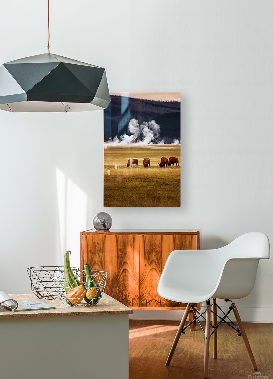 2501489 :: HD Sublimation Metal Print