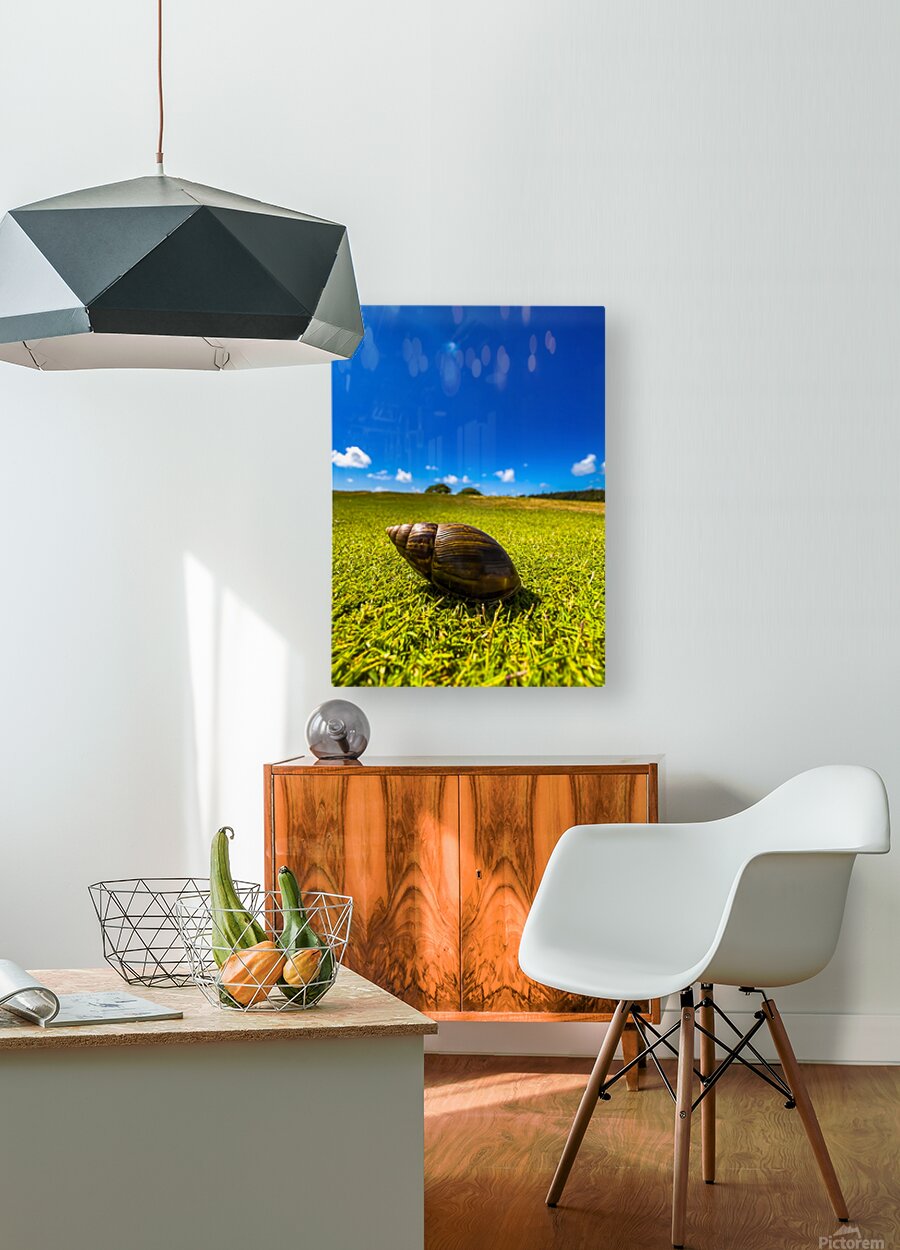 2501491 :: HD Sublimation Metal Print