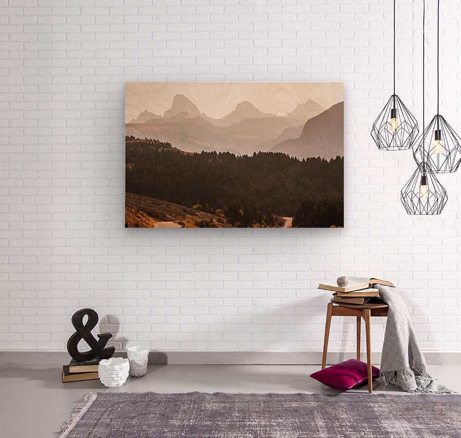 2501033 :: Wood Print