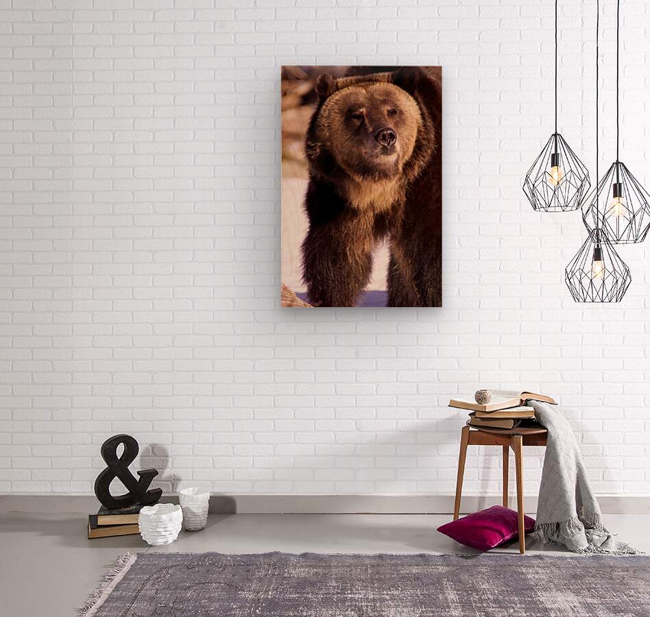 2501066 :: Wood Print