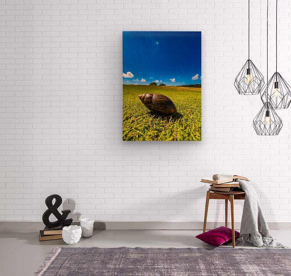 2501491 :: Wood Print