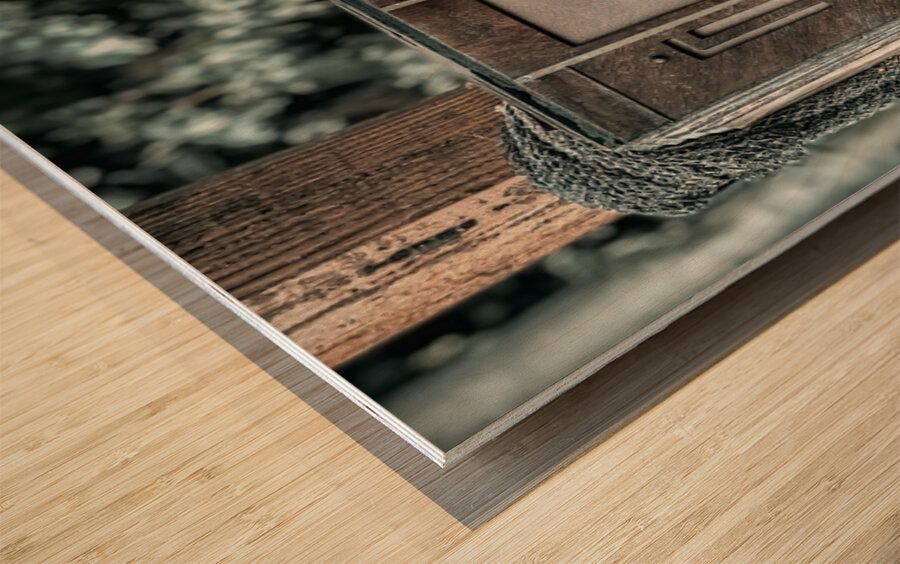 2501472 :: Wood Print