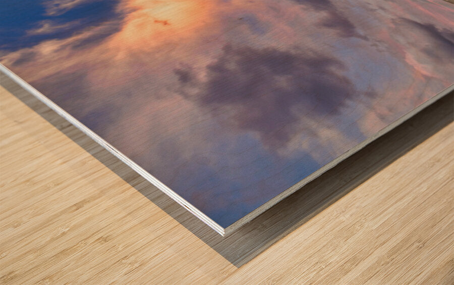 2507003 :: Wood Print