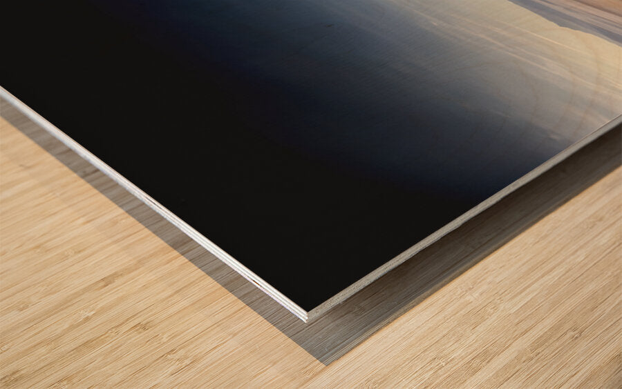 2521951 :: Wood Print