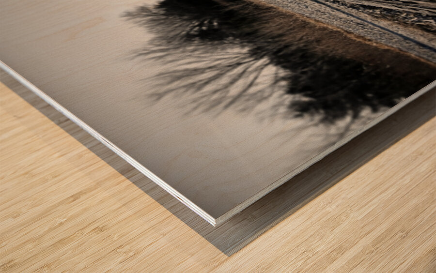 2521955 :: Wood Print